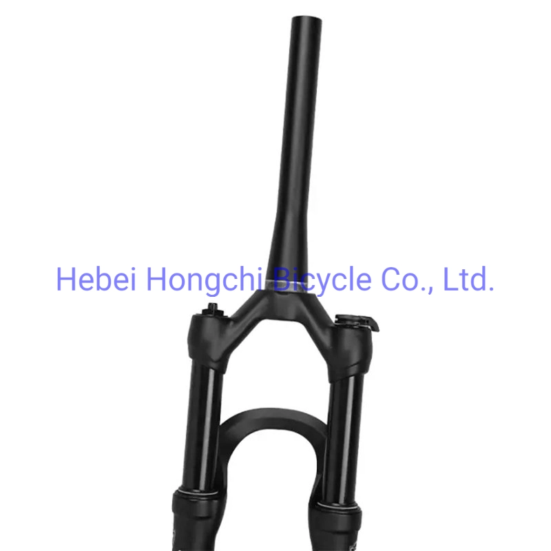 High Quality Bicycle Store Bike Private Front Fork